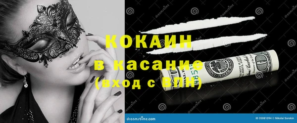 хмурый Абаза