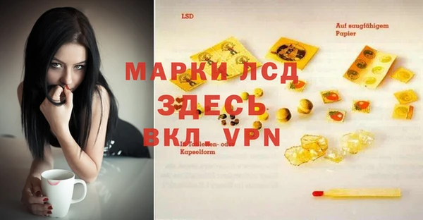 хмурый Абаза
