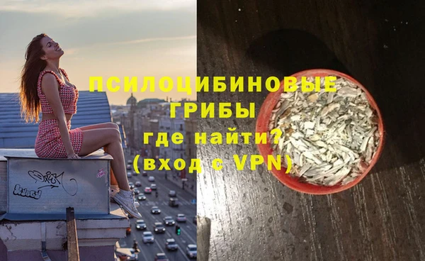 мяу мяу мука Покачи